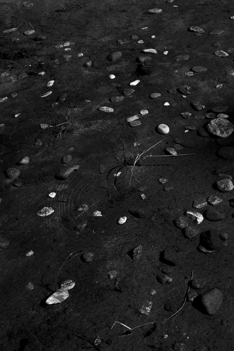 © Marcus Xavier Chormicle - A subtle ripple unsettles the still water in a pond formed by snow melt.