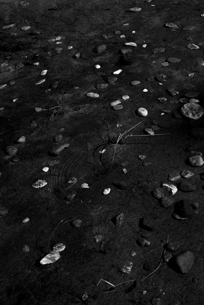 © Marcus Xavier Chormicle - A subtle ripple unsettles the still water in a pond formed by snow melt.