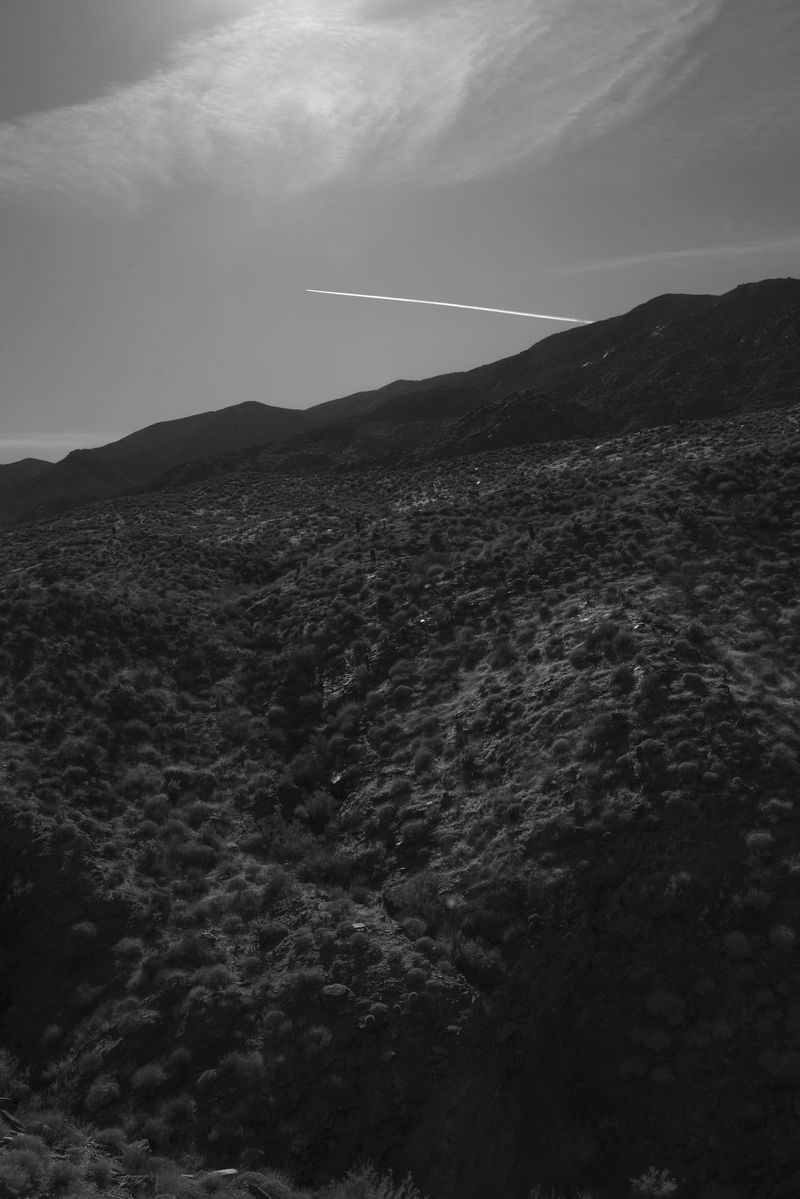 © Marcus Xavier Chormicle - Image from the Say Uncle photography project