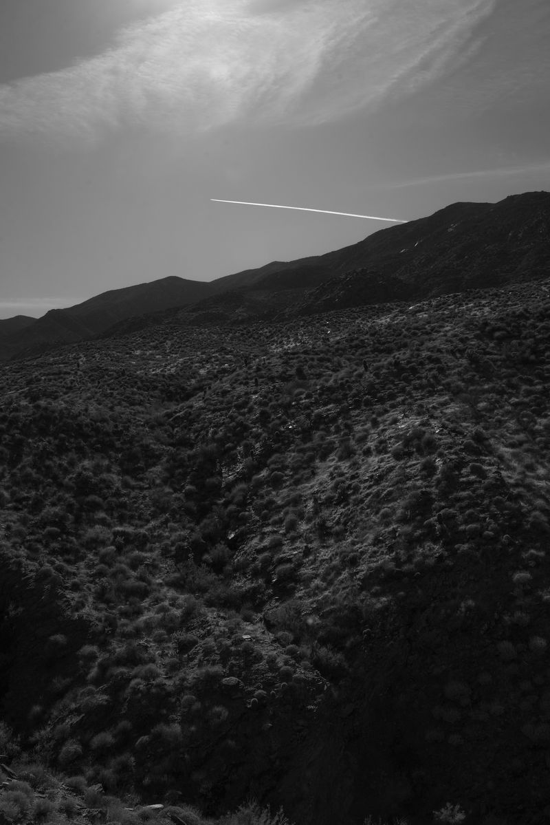 © Marcus Xavier Chormicle - Image from the Say Uncle photography project