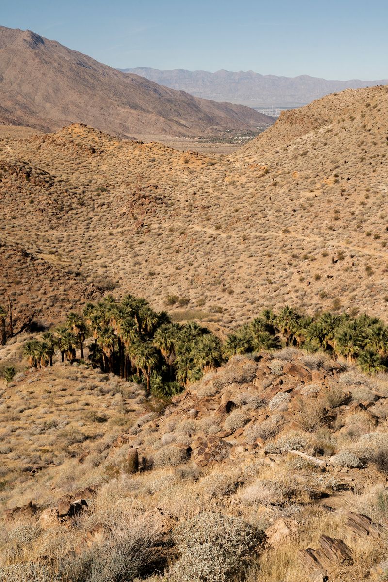 © Marcus Xavier Chormicle - Image from the Say Uncle photography project