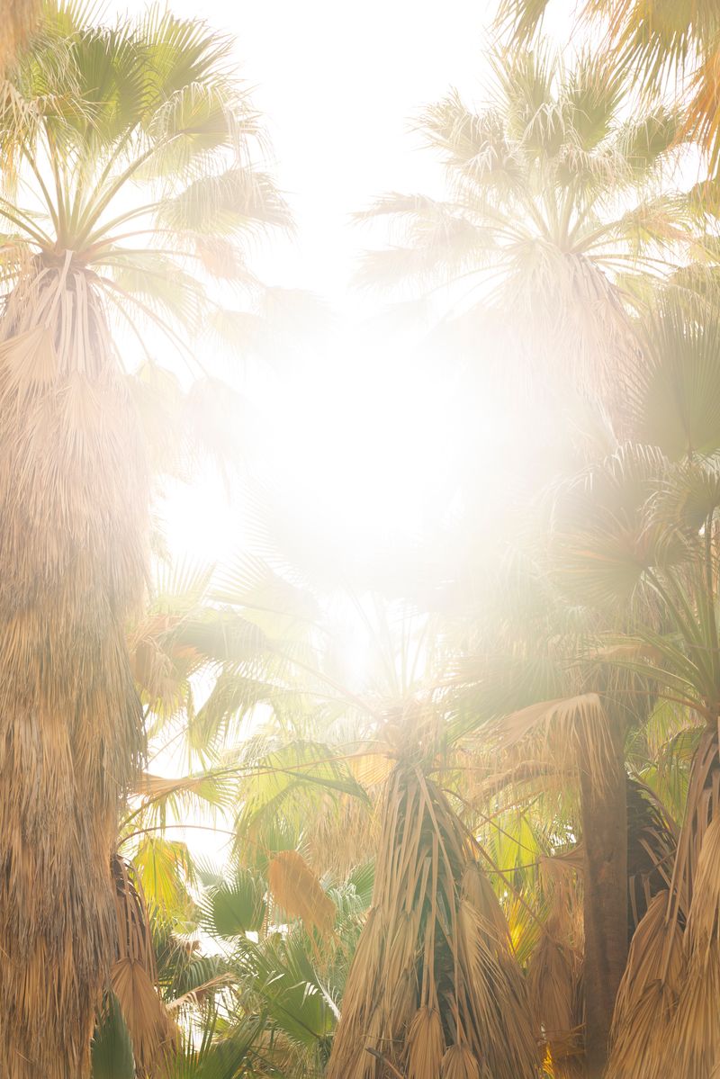 © Marcus Xavier Chormicle - Image from the Say Uncle photography project