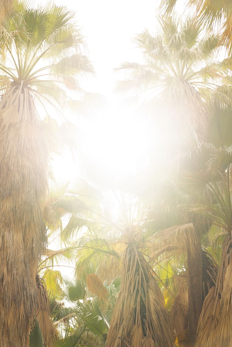 © Marcus Xavier Chormicle - Image from the Say Uncle photography project