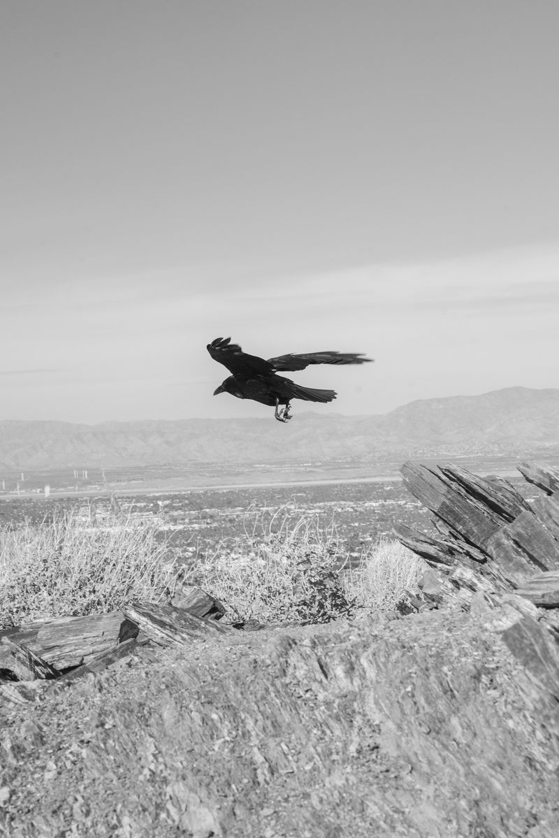 © Marcus Xavier Chormicle - Image from the Say Uncle photography project