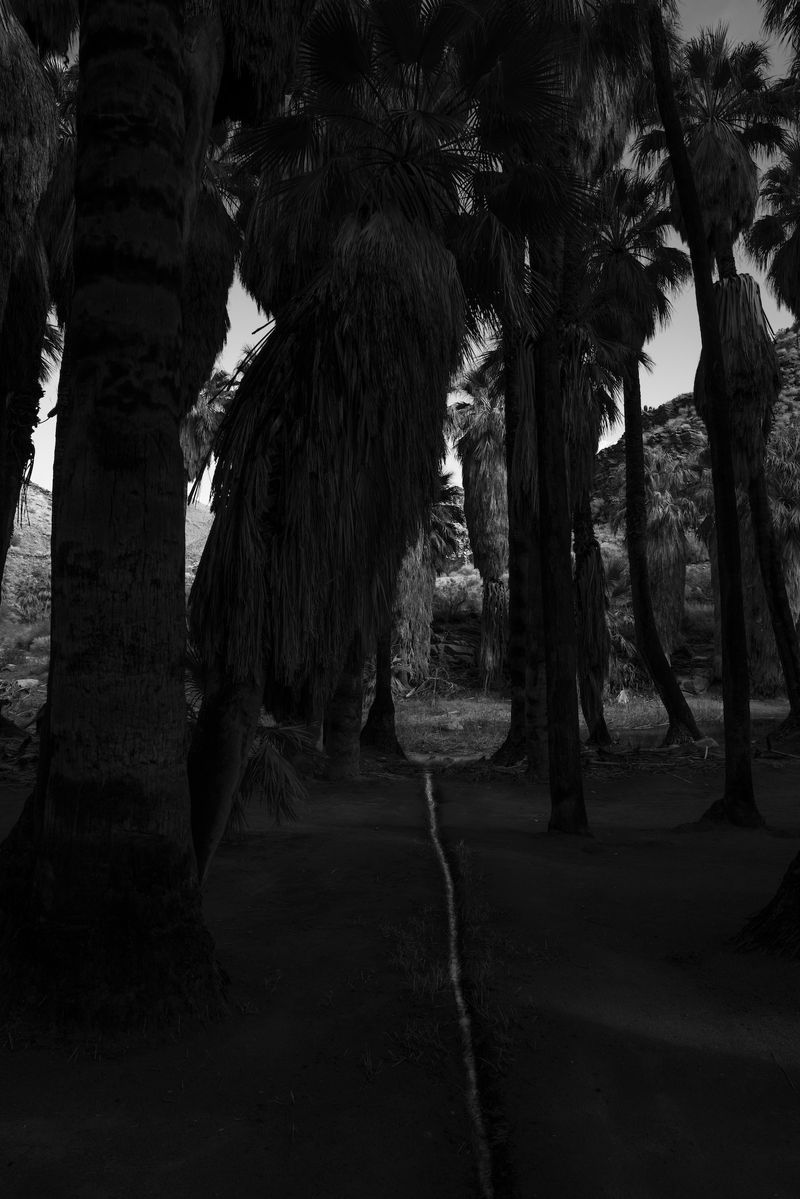 © Marcus Xavier Chormicle - Image from the Say Uncle photography project