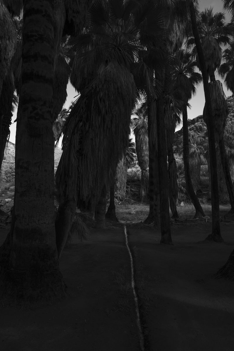 © Marcus Xavier Chormicle - Image from the Say Uncle photography project