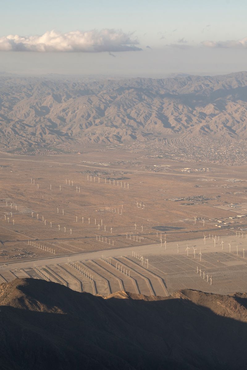 © Marcus Xavier Chormicle - Image from the Say Uncle photography project