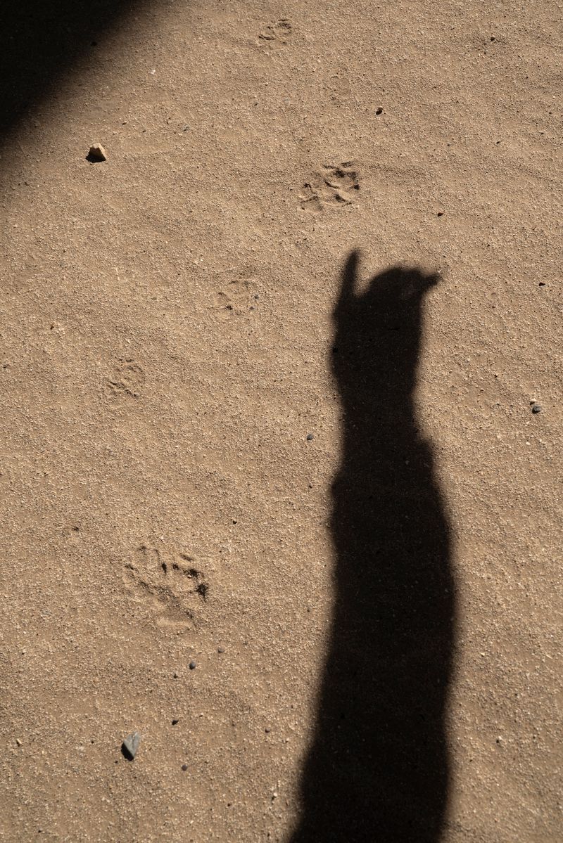 © Marcus Xavier Chormicle - Image from the Say Uncle photography project