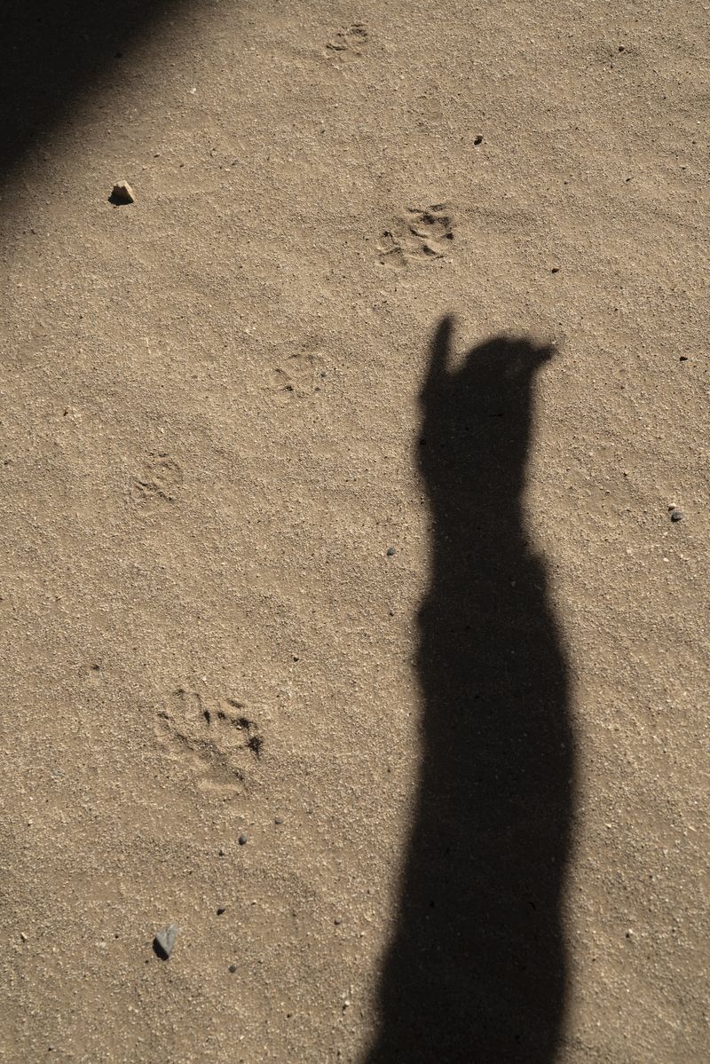 © Marcus Xavier Chormicle - Image from the Say Uncle photography project