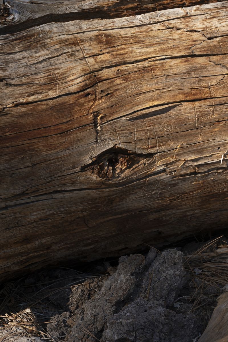 © Marcus Xavier Chormicle - The Land looks back at the people who travel across it.