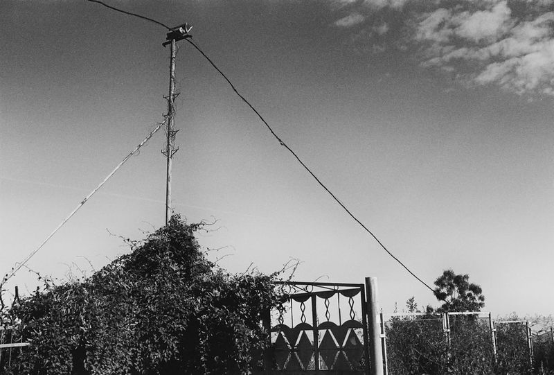 © Suzann - Image from the Odessa.MyLove photography project