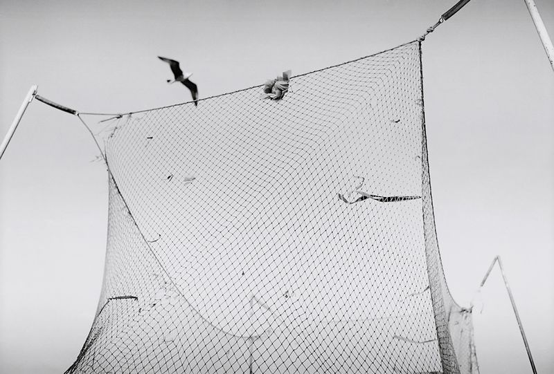 © Suzann - Image from the Odessa.MyLove photography project