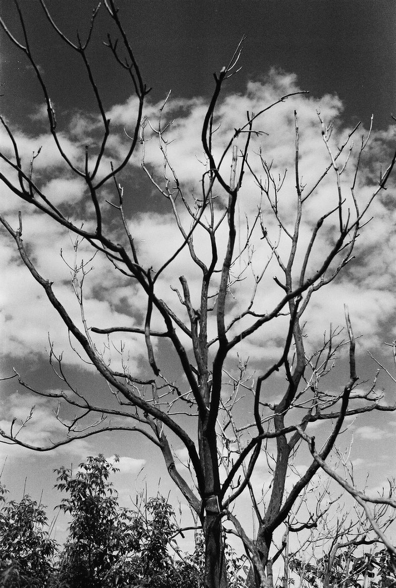 © Suzann - Image from the Odessa.MyLove photography project