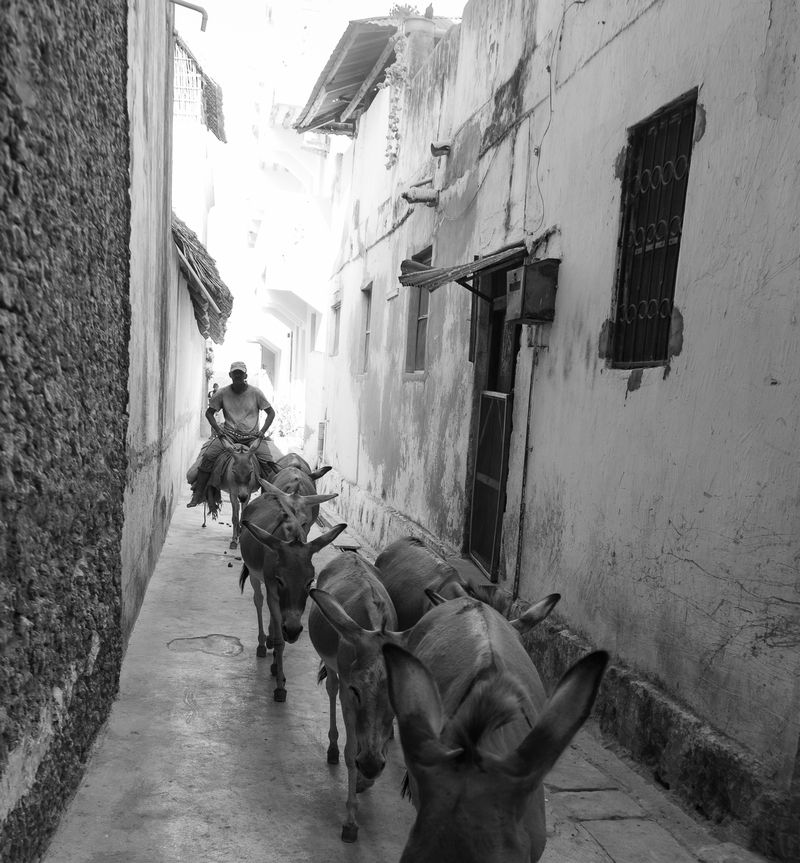 © Lisah Malika - Image from the Finding Home photography project