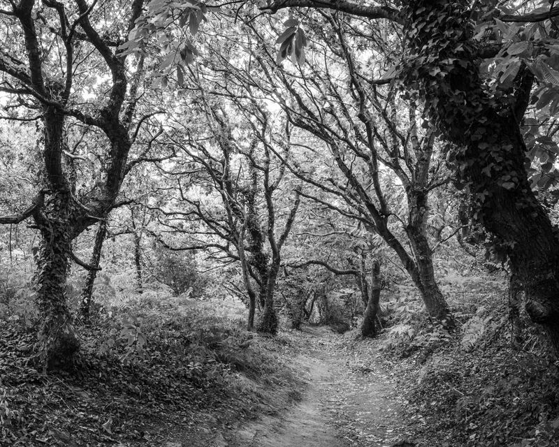 © Marcel van Beek - Image from the Where the Land Waits photography project