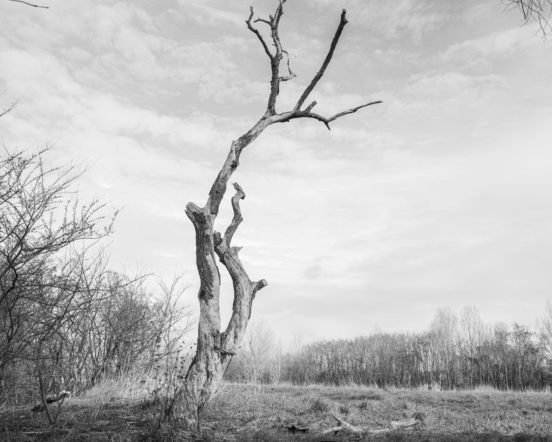 © Marcel van Beek - Image from the Where the Land Waits photography project