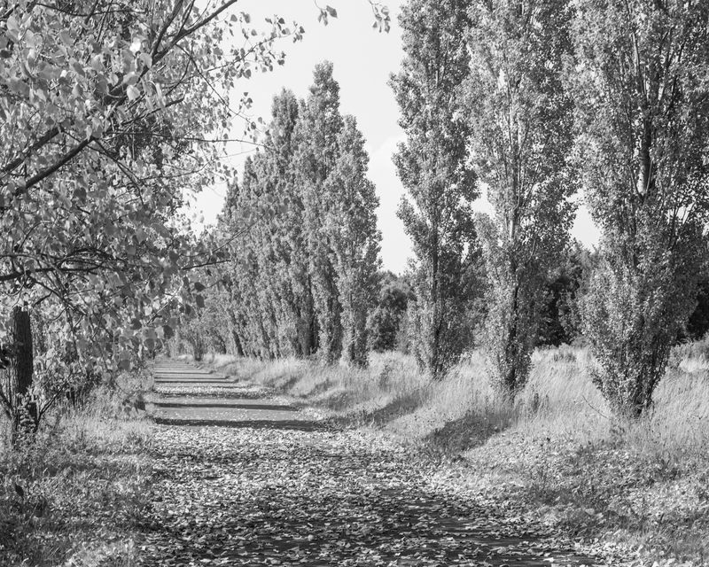 © Marcel van Beek - Image from the Where the Land Waits photography project