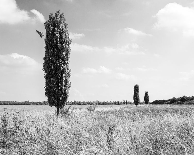 © Marcel van Beek - Image from the Where the Land Waits photography project