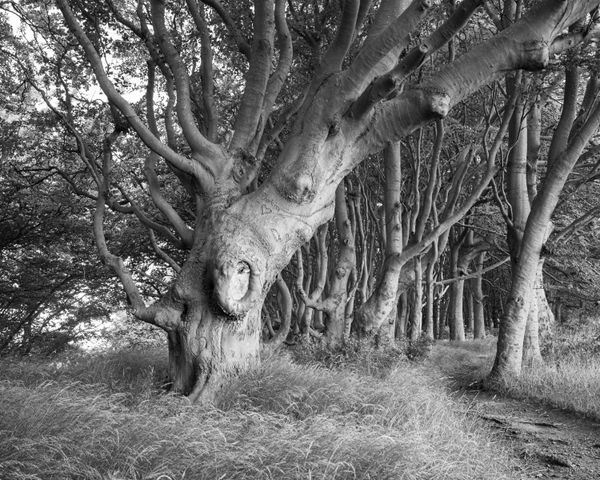 © Marcel van Beek - Image from the Where the Land Waits photography project
