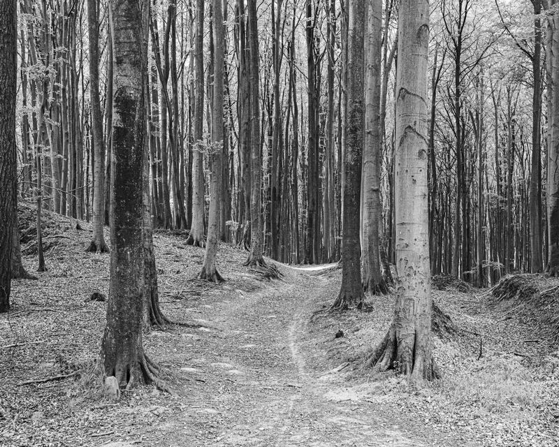 © Marcel van Beek - Image from the Where the Land Waits photography project