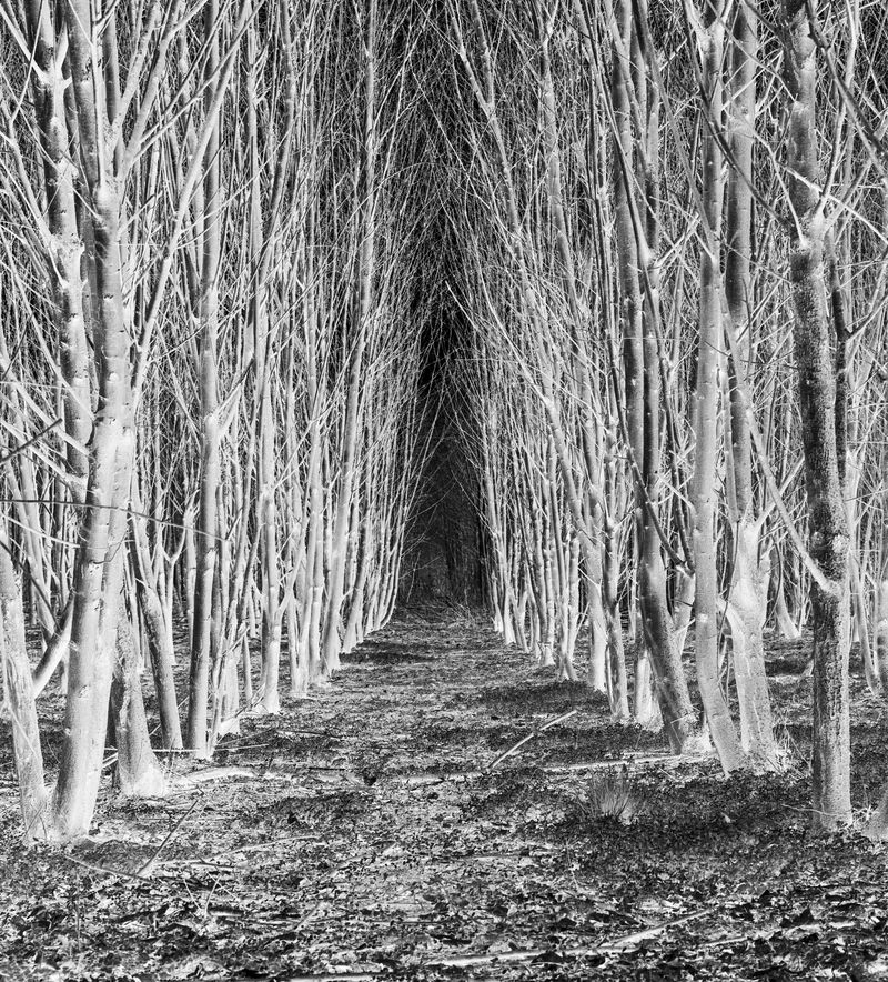 © Marcel van Beek - Image from the Where the Land Waits photography project