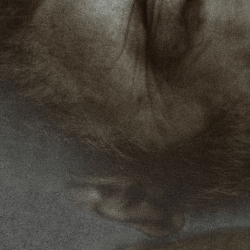 © Marcel van Beek - Image from the Traces of Dissolution photography project