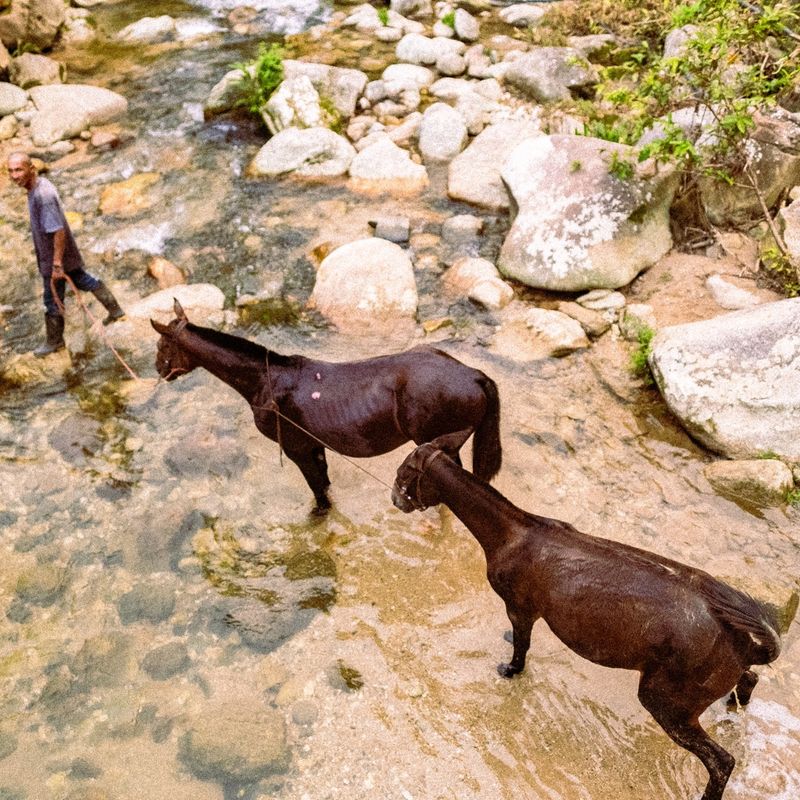 © Sara Shewfelt - "Caballero." Magdalena, Colombia. 2021.