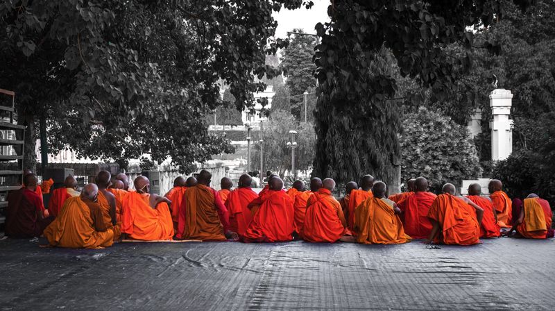 © Takshak Parmar - A line of monks sit facing the tree of enlightenment | Bodh Gaya, India