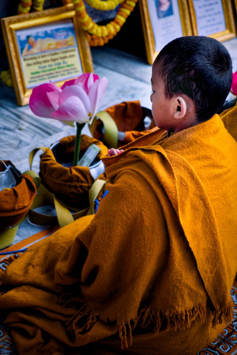 © Takshak Parmar - A young monk meditating alongside a lotus flower. A symbol of enlightenment | Bodh Gaya, India