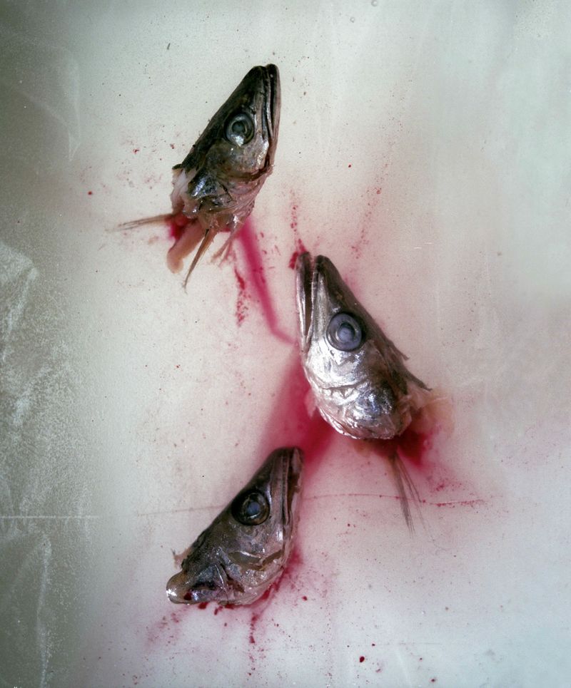 © Glorija Lizde - Image from the F20.5 photography project