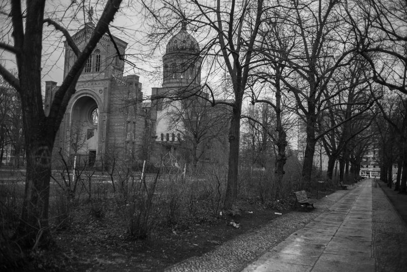 © Olivia Fernandez - Kreuzberg Jan 2021