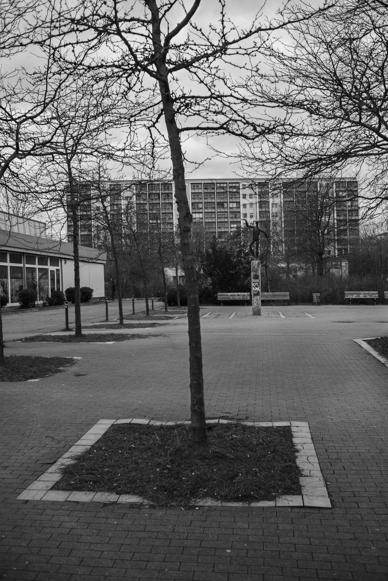 © Olivia Fernandez - Pankow, Jan 2021