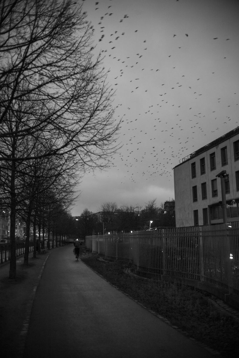 © Olivia Fernandez - Mitte, Jan 2021