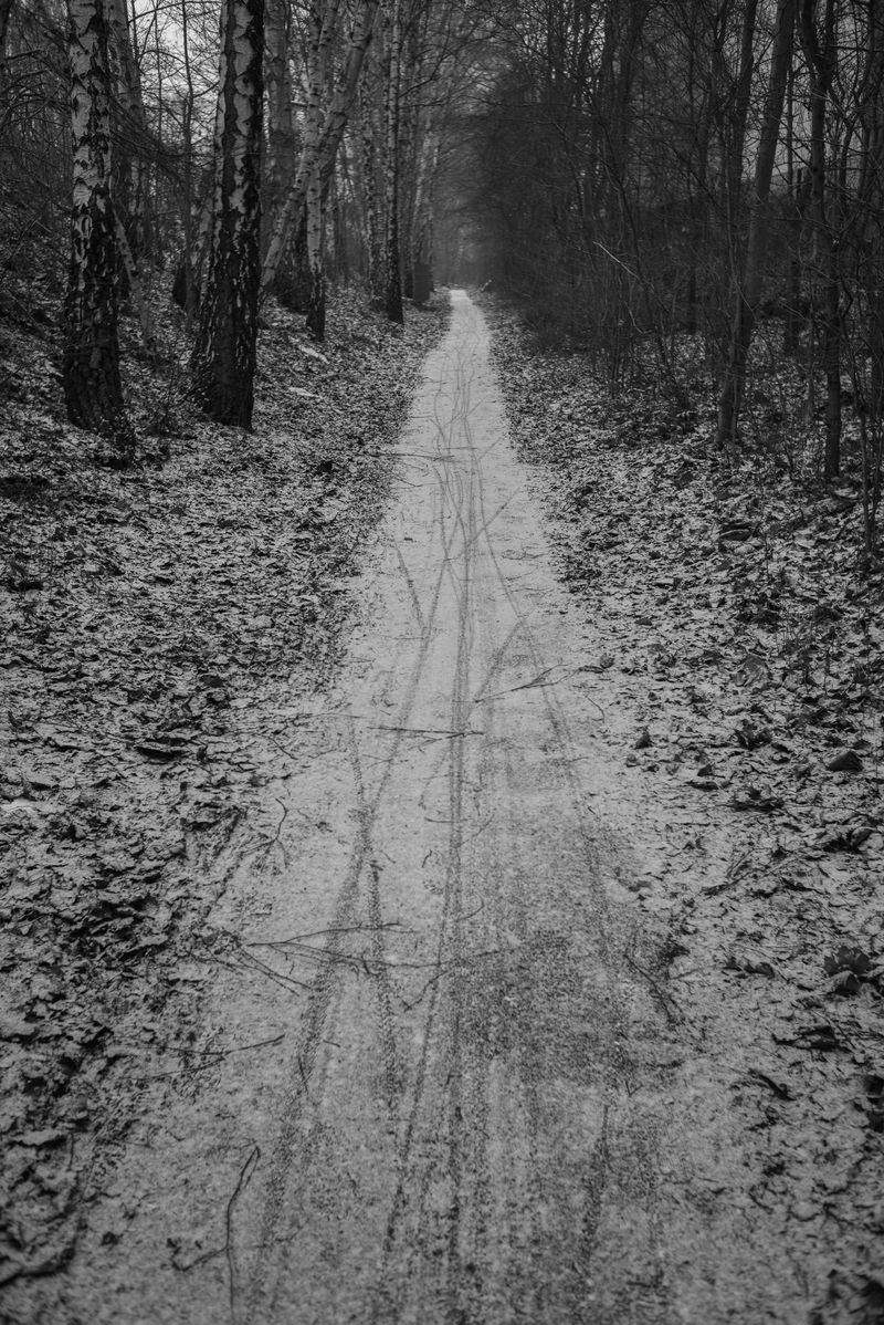 © Olivia Fernandez - Pankow, Jan 2021