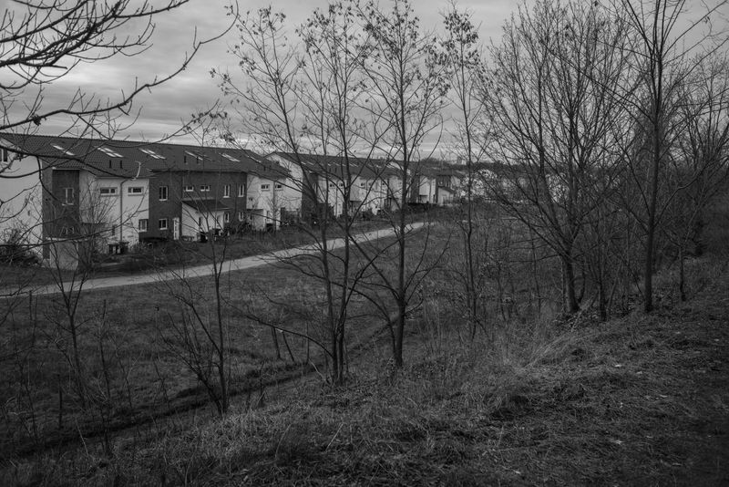 © Olivia Fernandez - Karlshorst, Jan 2021