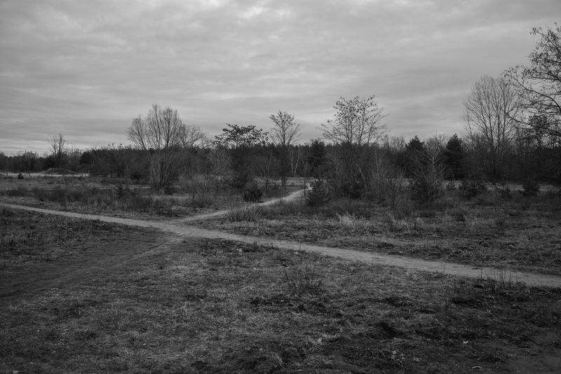 © Olivia Fernandez - Karlshorst, Jan 2021