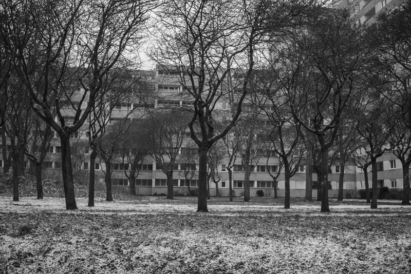 © Olivia Fernandez - Märkisches Viertel, Jan 2021