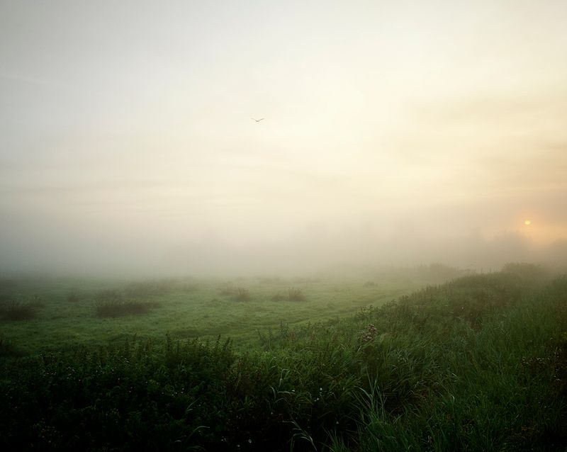 © Rob Severein - 14. A new day on Het Bildt, past the village of Nij Altoenae.