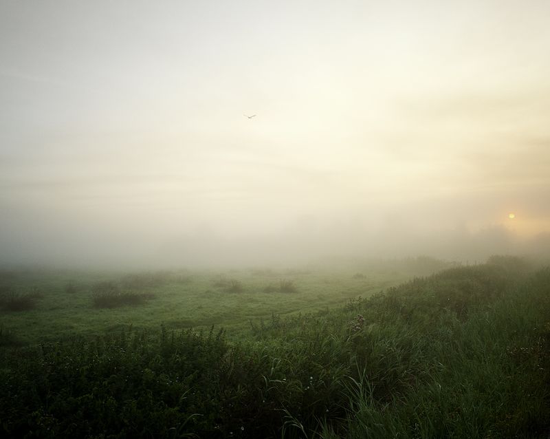 © Rob Severein - 14. A new day on Het Bildt, past the village of Nij Altoenae.