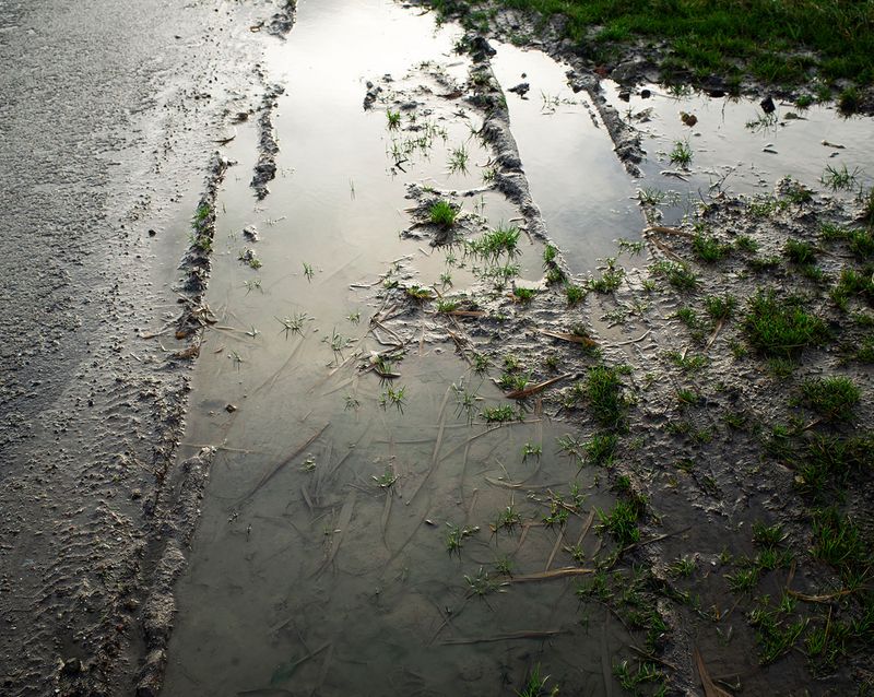 © Rob Severein - 7. Mud roads in spring and autumn characterise the unruly country past the village of Nij Altoenae.