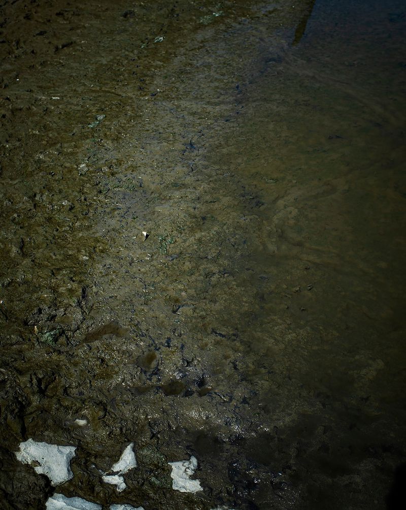 © Rob Severein - 13. The barren soil of the area past the village of Nij Altoenae.