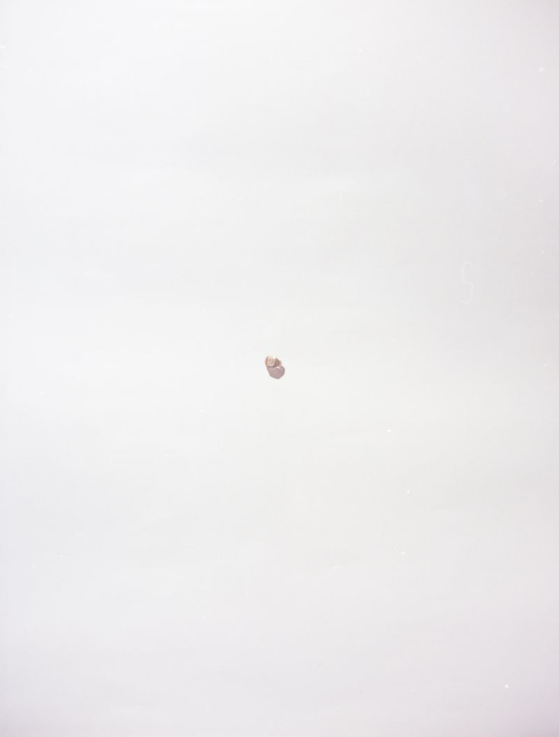 © Marton Magocsi - Image from the King of my castle photography project