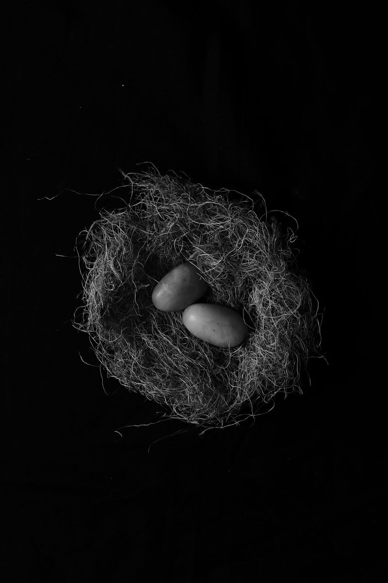 © Simona Ghizzoni - Image from the Rêve Géologique photography project