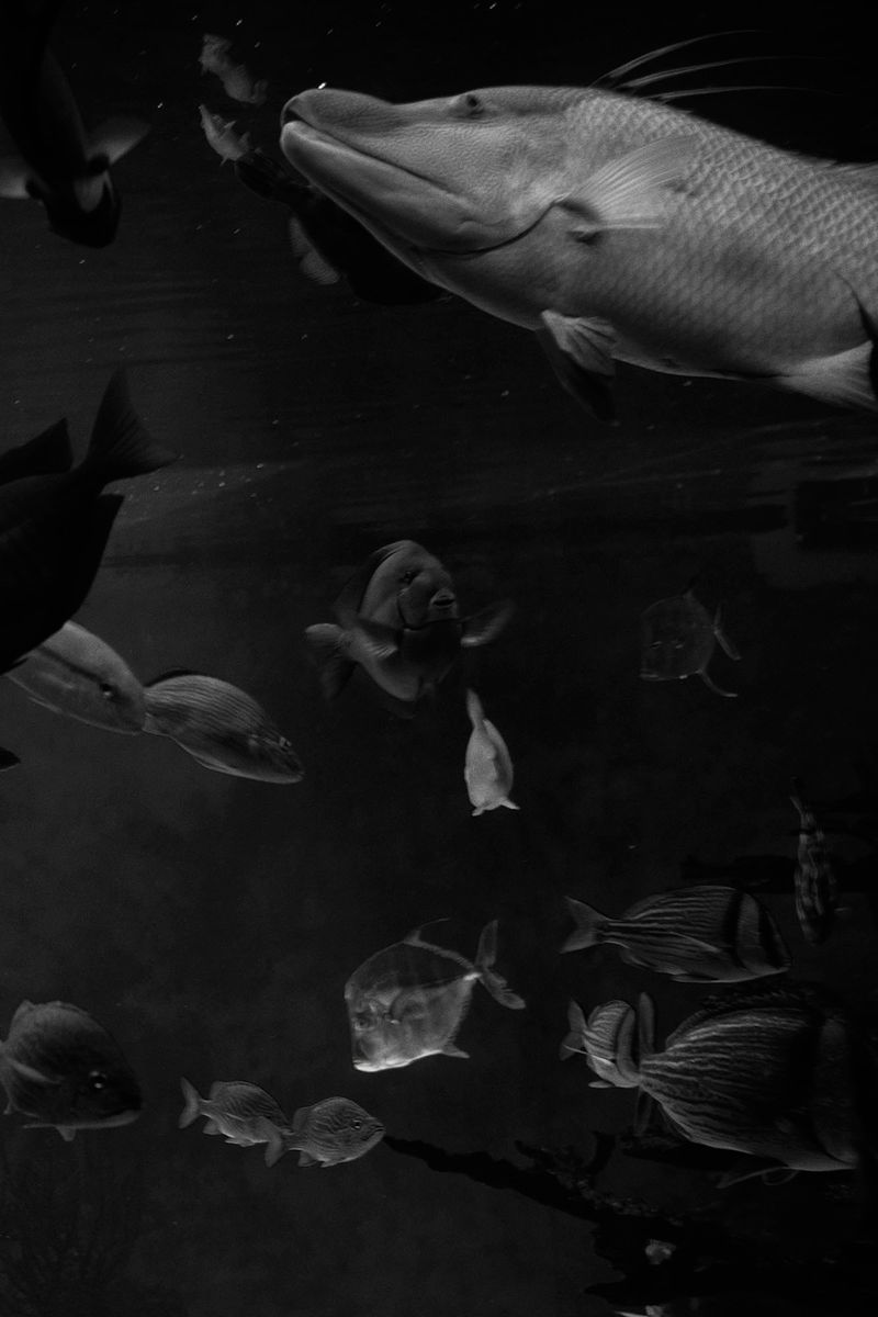 © Simona Ghizzoni - Image from the Rêve Géologique photography project