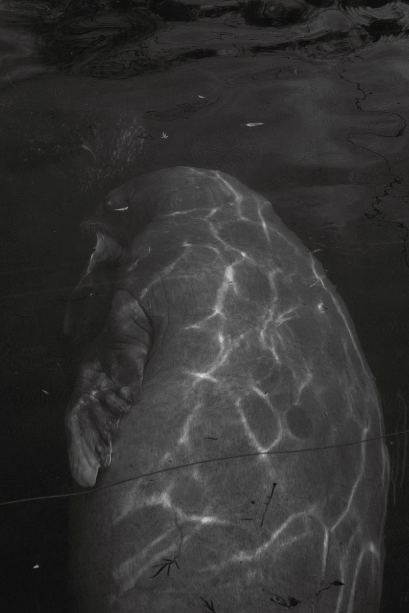 © Simona Ghizzoni - Image from the Rêve Géologique photography project