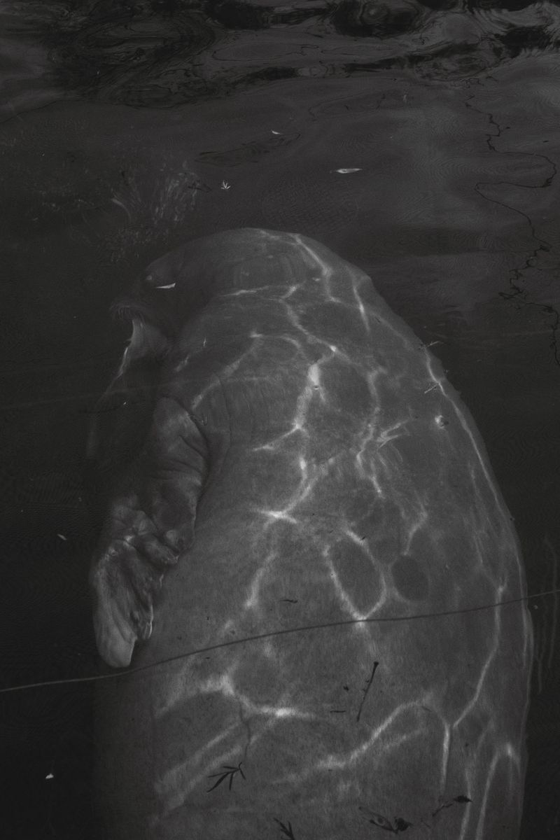 © Simona Ghizzoni - Image from the Rêve Géologique photography project