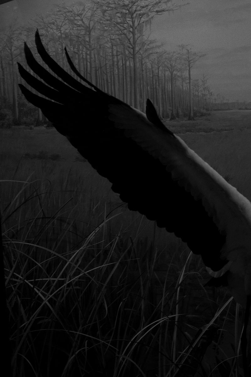 © Simona Ghizzoni - Image from the Rêve Géologique photography project