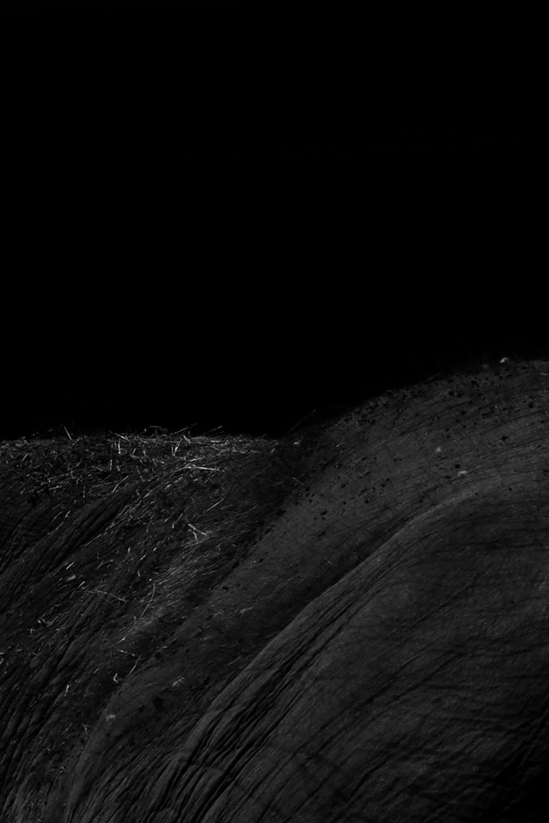 © Simona Ghizzoni - Image from the Rêve Géologique photography project