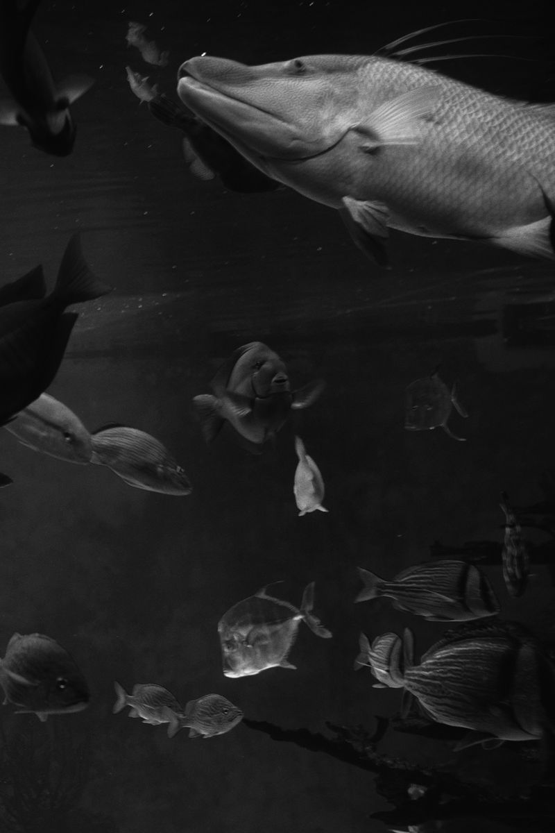 © Simona Ghizzoni - Image from the Rêve Géologique photography project