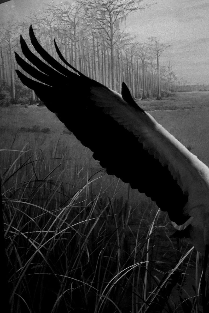 © Simona Ghizzoni - Image from the Rêve Géologique photography project